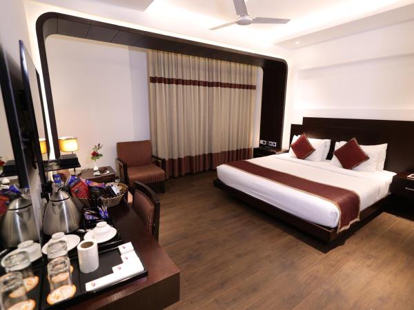 Hotel Godwin Deluxe -Near New Delhi Railway Station - Paharganj : photo 2 de la chambre studio avec transfert aéroport aller ou retour