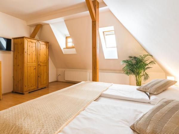 Hotel Zlaty Andel : photo 3 de la chambre chambre double