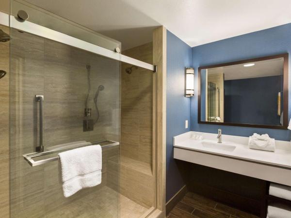 Hilton Garden Inn Houston Northwest : photo 5 de la chambre suite lit king-size avec baignoire spa