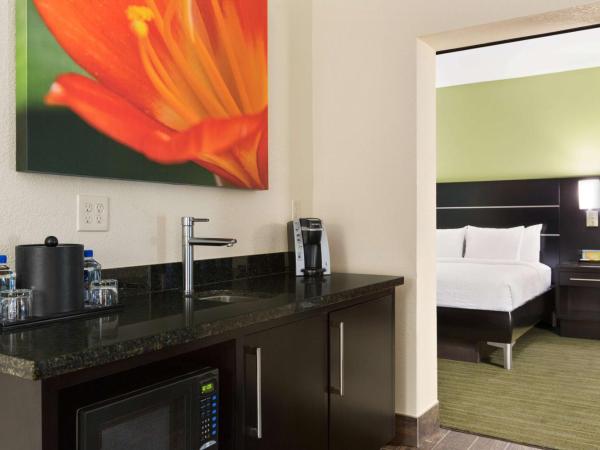 Hilton Garden Inn Houston Northwest : photo 4 de la chambre suite lit king-size avec baignoire spa