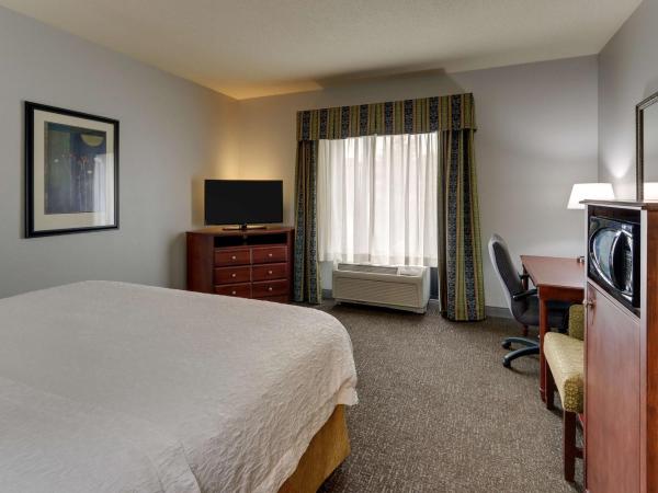 Hampton Inn & Suites Indianapolis-Airport : photo 1 de la chambre chambre lit king-size avec douche - non-fumeurs