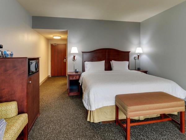 Hampton Inn & Suites Indianapolis-Airport : photo 2 de la chambre chambre lit king-size avec douche - non-fumeurs