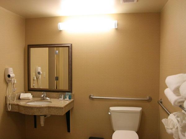 Hampton Inn & Suites Indianapolis-Airport : photo 5 de la chambre king room with accessible tub - mobility and hearing access/non-smoking