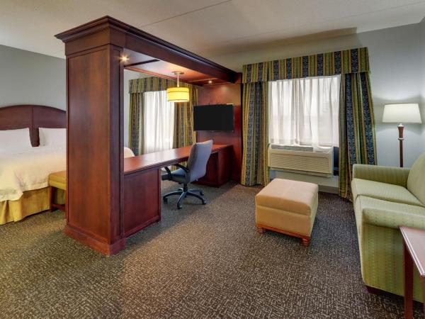 Hampton Inn & Suites Indianapolis-Airport : photo 3 de la chambre king studio suite with kitchenette - non-smoking