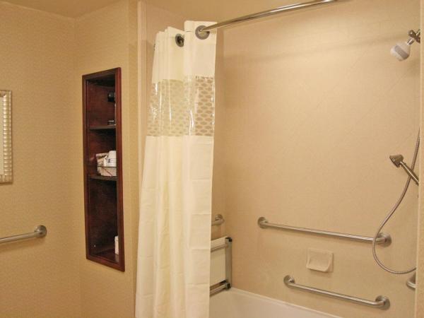 Hampton Inn & Suites Indianapolis-Airport : photo 6 de la chambre king room with accessible tub - mobility and hearing access/non-smoking