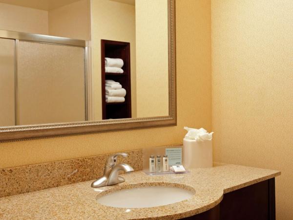 Hampton Inn & Suites Indianapolis-Airport : photo 5 de la chambre chambre lit king-size avec douche - non-fumeurs
