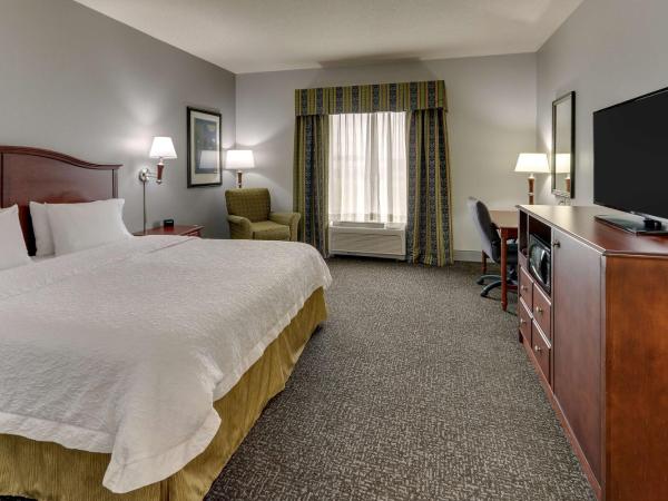 Hampton Inn & Suites Indianapolis-Airport : photo 3 de la chambre king room with accessible tub - mobility and hearing access/non-smoking