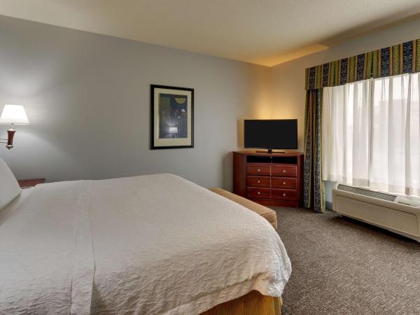 Hampton Inn & Suites Indianapolis-Airport : photo 3 de la chambre chambre lit king-size avec douche - non-fumeurs
