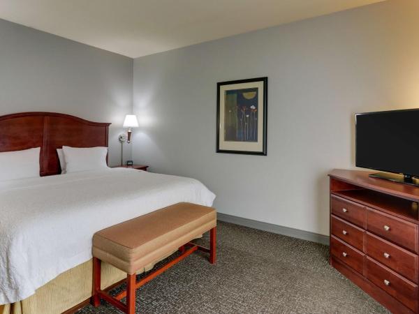 Hampton Inn & Suites Indianapolis-Airport : photo 4 de la chambre chambre lit king-size avec douche - non-fumeurs