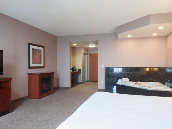 Hilton Garden Inn Indianapolis South/Greenwood : photo 2 de la chambre suite lit king-size 1 chambre avec bain à remous