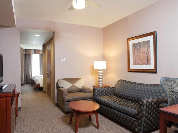 Hilton Garden Inn Indianapolis South/Greenwood : photo 1 de la chambre suite junior avec 2 lits queen-size