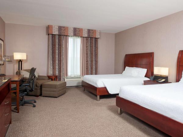 Hilton Garden Inn Indianapolis South/Greenwood : photo 2 de la chambre suite junior avec 2 lits queen-size