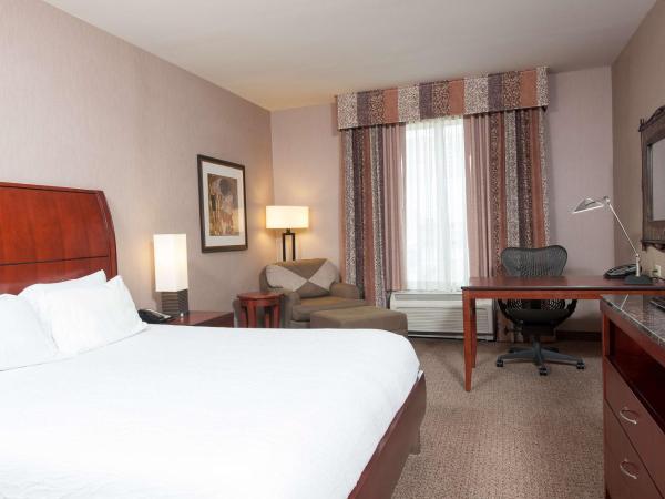 Hilton Garden Inn Indianapolis South/Greenwood : photo 1 de la chambre chambre lit king-size