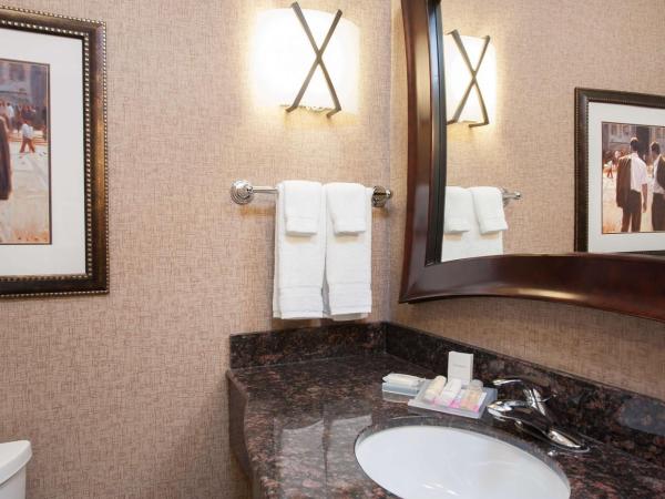 Hilton Garden Inn Indianapolis South/Greenwood : photo 4 de la chambre suite junior avec 2 lits queen-size