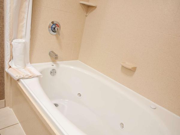 Hilton Garden Inn Indianapolis South/Greenwood : photo 4 de la chambre chambre lit king-size Évolution avec baignoire spa