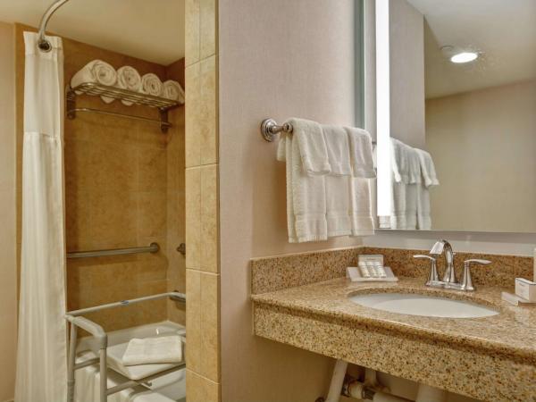 Hilton Garden Inn Orlando Lake Buena Vista : photo 5 de la chambre chambre lit king-size - pour personnes malentendantes