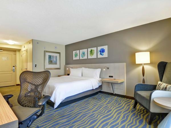 Hilton Garden Inn Orlando Lake Buena Vista : photo 1 de la chambre chambre lit king-size