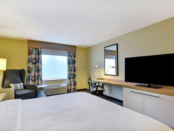 Hilton Garden Inn Orlando Lake Buena Vista : photo 2 de la chambre chambre lit king-size
