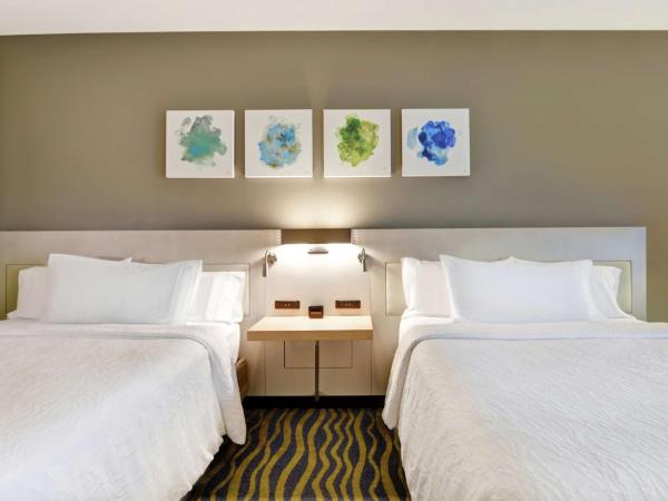 Hilton Garden Inn Orlando Lake Buena Vista : photo 1 de la chambre chambre double avec 2 lits doubles - non-fumeurs