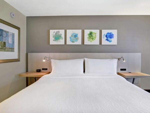 Hilton Garden Inn Orlando Lake Buena Vista : photo 3 de la chambre chambre lit king-size