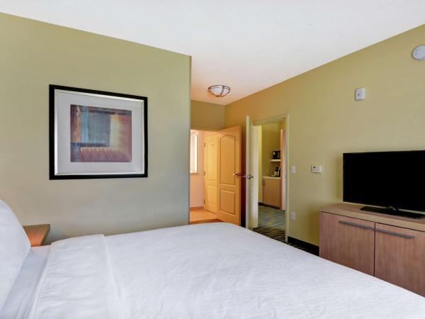 Hilton Garden Inn Orlando Lake Buena Vista : photo 1 de la chambre suite 1 chambre lit king-size avec canapé-lit