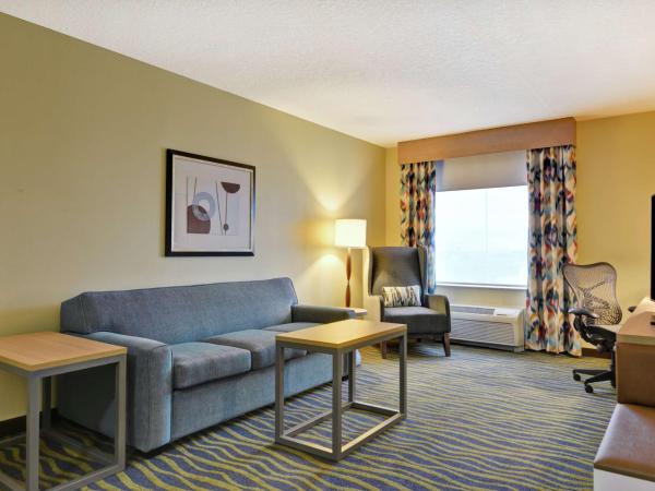 Hilton Garden Inn Orlando Lake Buena Vista : photo 2 de la chambre suite 1 chambre lit king-size avec canapé-lit