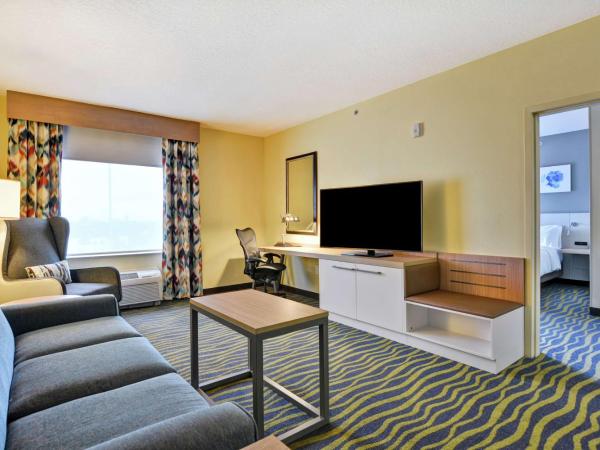 Hilton Garden Inn Orlando Lake Buena Vista : photo 3 de la chambre suite 1 chambre lit king-size avec canapé-lit