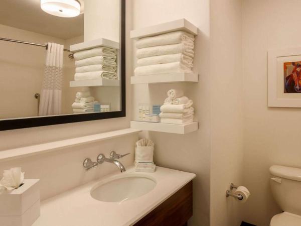 Hampton Inn Memphis-Southwind : photo 4 de la chambre studio lit king-size avec canapé-lit - non-fumeurs