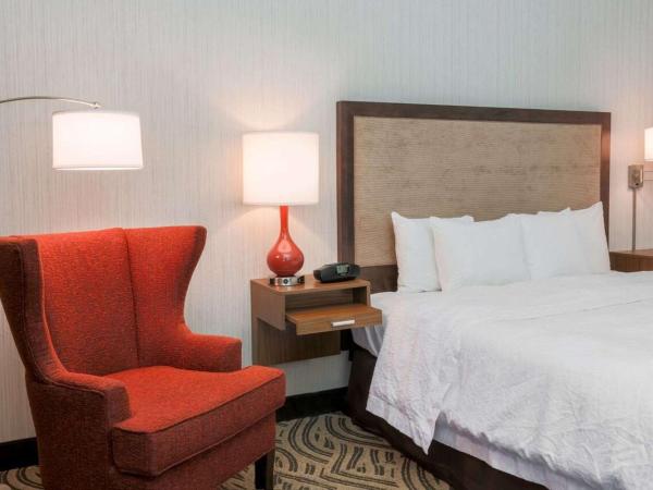 Hampton Inn Memphis-Southwind : photo 3 de la chambre chambre lit king-size - accessible aux personnes à mobilité réduite - non-fumeurs 