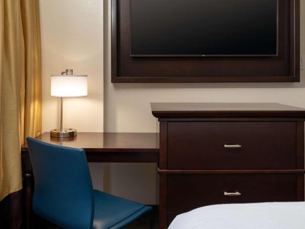 Embassy Suites by Hilton New Orleans Convention Center : photo 2 de la chambre suite 1 chambre lit king-size - non-fumeurs