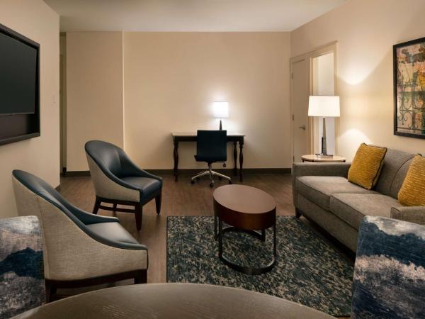 Embassy Suites by Hilton New Orleans Convention Center : photo 1 de la chambre suite lit king-size