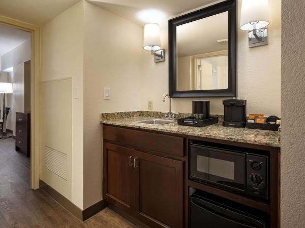 Embassy Suites by Hilton New Orleans Convention Center : photo 4 de la chambre suite avec 2 lits queen-size