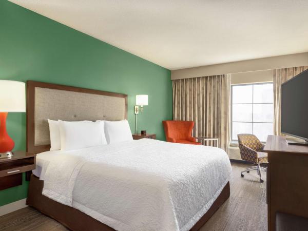 Hampton Inn and Suites New Orleans Convention Center : photo 3 de la chambre chambre lit king-size - non-fumeurs