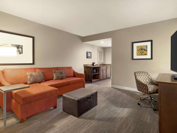 Hampton Inn and Suites New Orleans Convention Center : photo 1 de la chambre suite 1 chambre lit king-size - non-fumeurs