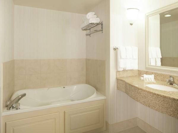 Hilton Garden Inn Virginia Beach Town Center : photo 4 de la chambre suite 1 chambre lit king-size avec canapé-lit