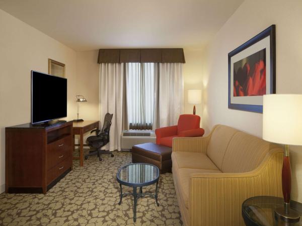 Hilton Garden Inn Virginia Beach Town Center : photo 1 de la chambre suite 1 chambre lit king-size avec canapé-lit