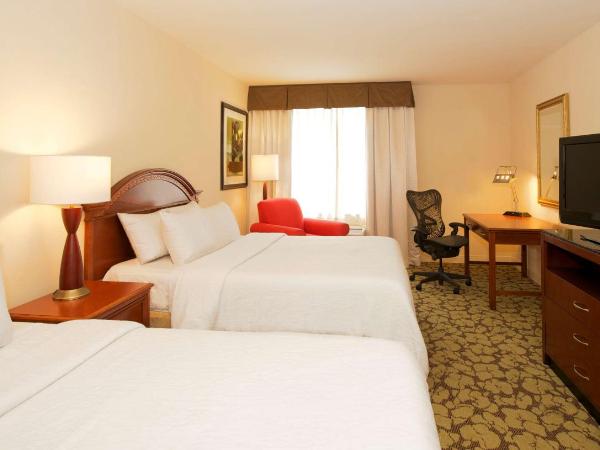 Hilton Garden Inn Virginia Beach Town Center : photo 4 de la chambre chambre avec 2 grands lits queen-size