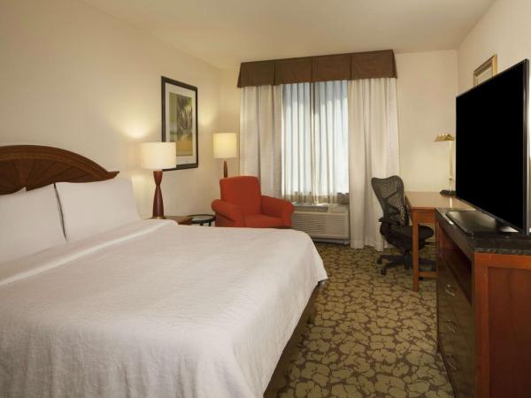 Hilton Garden Inn Virginia Beach Town Center : photo 2 de la chambre chambre lit king-size