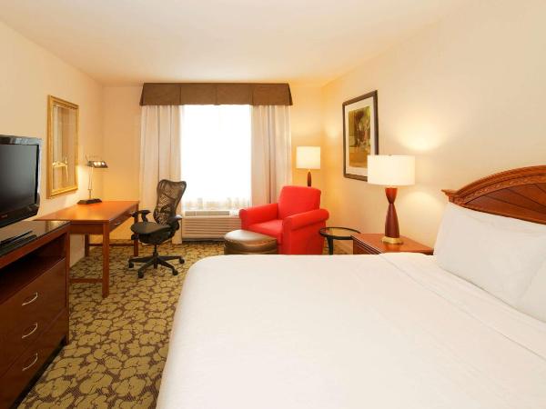 Hilton Garden Inn Virginia Beach Town Center : photo 3 de la chambre chambre lit king-size avec baignoire spa