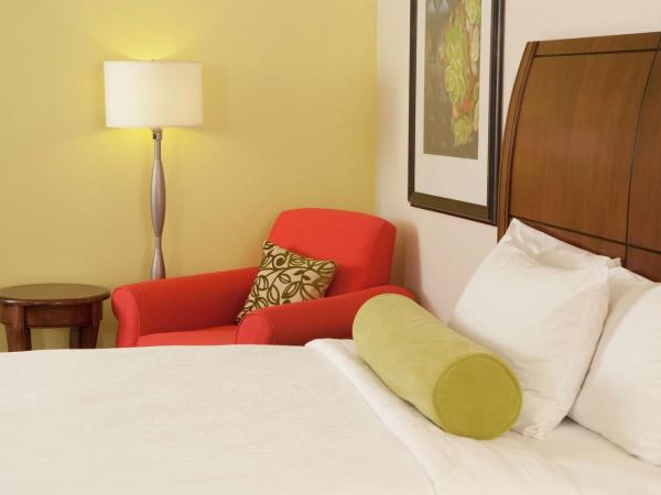 Hilton Garden Inn Orlando Airport : photo 1 de la chambre chambre double avec 2 lits doubles - non-fumeurs