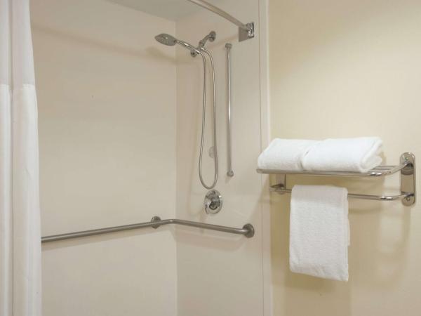 Hilton Garden Inn Orlando Airport : photo 3 de la chambre chambre lit king-size avec baignoire - accessible aux personnes à mobilité réduite et adaptée aux personnes malentendantes