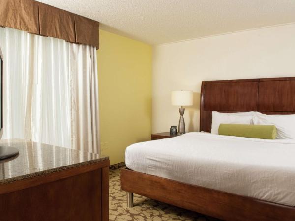 Hilton Garden Inn Orlando Airport : photo 4 de la chambre suite 1 chambre lit king-size avec canapé-lit