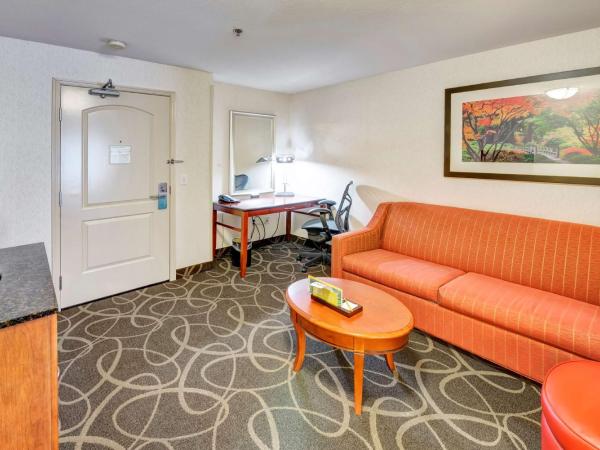 Hilton Garden Inn Portland Airport : photo 3 de la chambre suite 1 chambre lit king-size avec canapé-lit