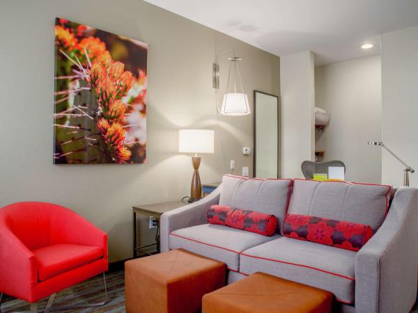 Hilton Garden Inn Phoenix Airport : photo 3 de la chambre suite 1 chambre lit king-size avec canapé-lit