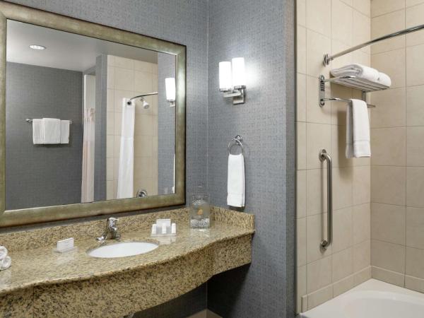 Hilton Garden Inn Phoenix North Happy Valley : photo 6 de la chambre chambre lit king-size avec baignoire accessible aux personnes à mobilité réduite - adaptée aux personnes à mobilité réduite