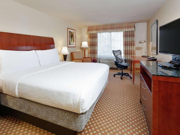 Hilton Garden Inn San Diego Del Mar : photo 1 de la chambre chambre lit king-size