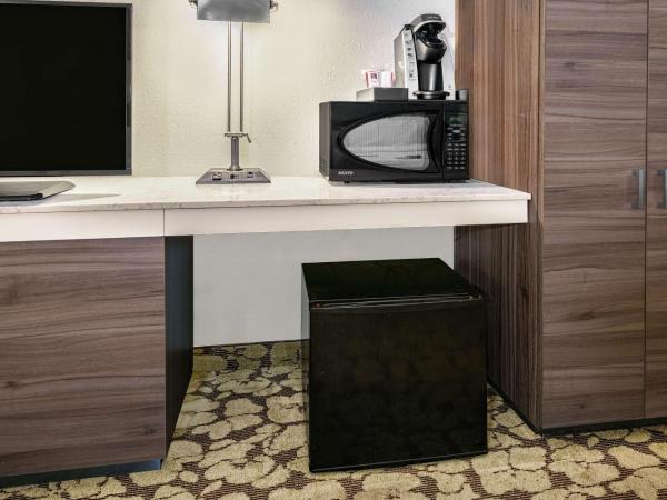 Hilton Garden Inn San Antonio Airport : photo 2 de la chambre chambre lit king-size avec baignoire accessible aux personnes à mobilité réduite - adaptée aux personnes à mobilité réduite