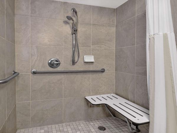 Hilton Garden Inn San Antonio Airport : photo 4 de la chambre chambre avec 2 lits queen-size - douche accessible en fauteuil roulant - accessible aux personnes à mobilité réduite
