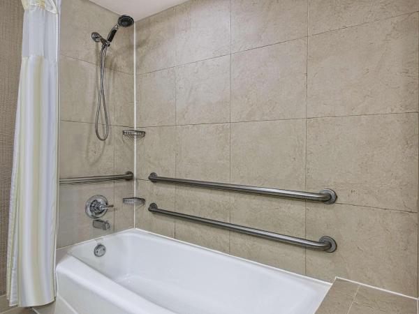 Hilton Garden Inn San Antonio Airport : photo 5 de la chambre chambre lit king-size avec baignoire accessible aux personnes à mobilité réduite - adaptée aux personnes à mobilité réduite