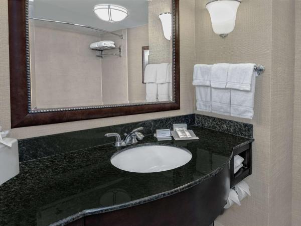 Hilton Garden Inn San Antonio Airport : photo 5 de la chambre chambre lit king-size